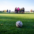 Rugby - Dresden Hillbillies - Rugby Club Dresden