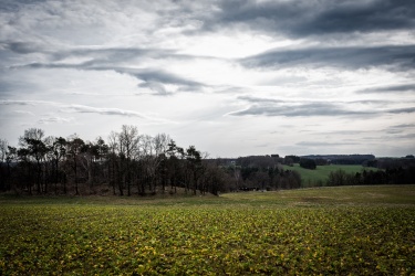 Kleiner Spaziergang am Wachberg