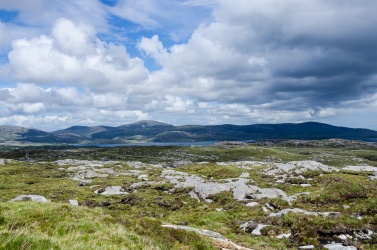 Harris