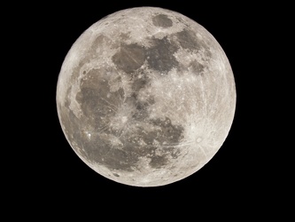 Mond