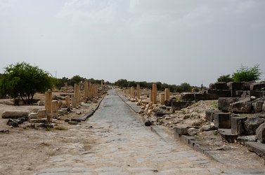 Umm  Qais
